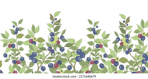 Blueberry Berries Banner On White Background Stock Vector (Royalty Free ...