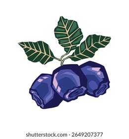 Blueberry berries hand drawing vector color