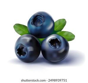 Blueberry berries on a white background. Vector illustration