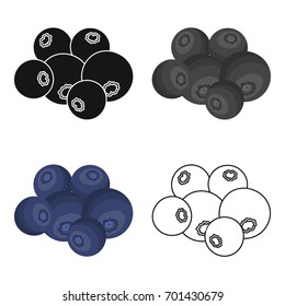 Blueberry berries, sweet fruit. Fruit single icon in cartoon style vector symbol stock illustration web.