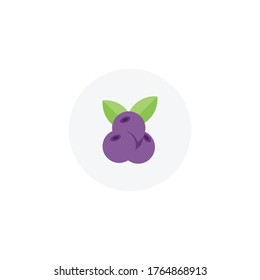 blueberry. berry. candy. vector flat icon. outline illustration. EPS 10