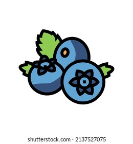 blueberry berry color icon vector. blueberry berry sign. isolated symbol illustration