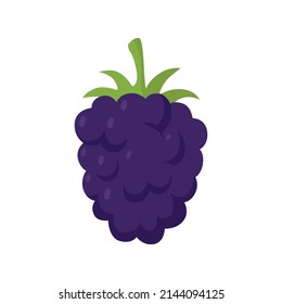 Blueberry berry. Flat vector illustration isolated on white background in cartoon style