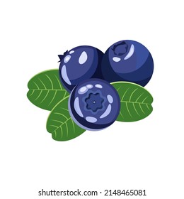 Blueberry berry with leaves, isolated on a white background.Vector illustration for packaging and labels of dairy products, chocolate, cookies.cosmetics,textiles.