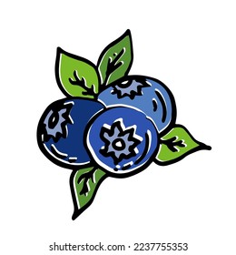 Blueberry berry vector linear drawing in doodle style. Isolated element on white background for design of packaging, menu, print, posters, icons, stickers, cards.