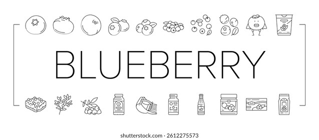 blueberry biberry blue berry icons set vector. fruit food, fresh leaf, sweet dessert, organic nature forest antioxidant blueberry biberry blue berry black contour illustrations