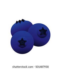 blueberry, bilberry vector illustration