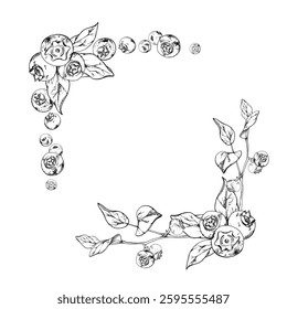 Blueberry blackberry bunch with plant leaves on branch hand drawn in ink vector, ripe forest berry. Isolated botanical illustration garland frame corner. Restaurant, cafe, wedding menu, farmers market