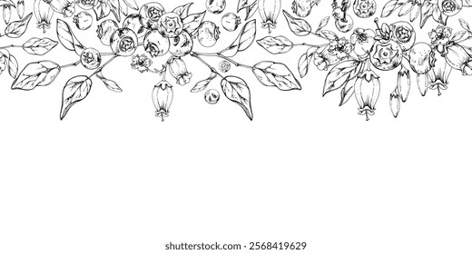 Blueberry blackberry with white bell flowers, plant leaves, hand drawn in ink vector, forest berry on branches. Seamless banner garland illustration for restaurant, cafe menu, wedding, farmers market