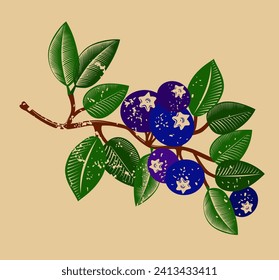 Blueberry branch with berries and leaves. Vector illustration with print effect