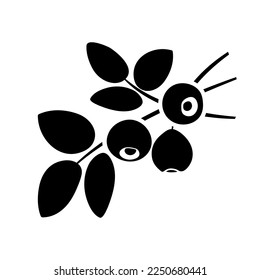 blueberry branch black silhouette, flat black filled vector design element, fruits
