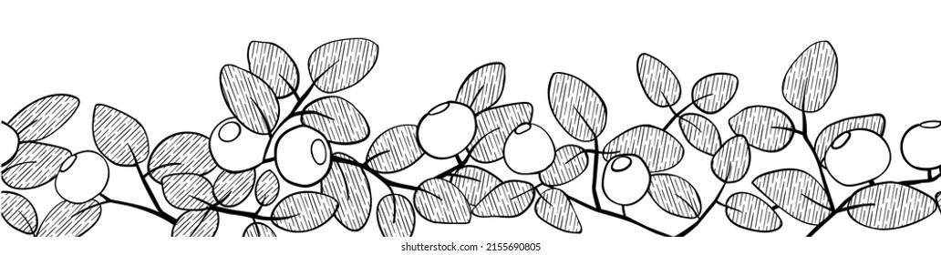 Blueberry branch border. Hand made seamless vector illustration