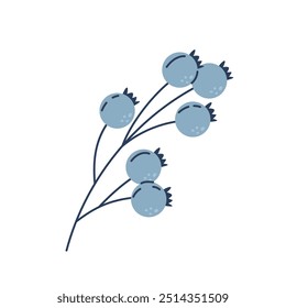 Blueberry branch. Forest berry. Summer food.