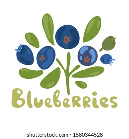 Blueberry branch, leaves and berries isolated on white background. Vector illustration. Organic food on white background. Cute plant. Flat doodle design