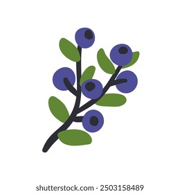 Blueberry branch with leaves, fresh ripe blue berries. Organic natural forest fruit, food plant twig. Bilberry, whortleberry icon. Flat graphic vector illustration isolated on white background