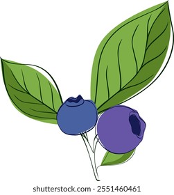Blueberry branch minimalistic graphic line style composition. Vector sprig of blueberries with leaves and berries