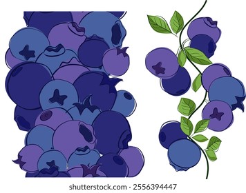 Blueberry branch seamless vertical border set with green leaves and berries isolated on white transparent background. vector Fresh healthy organic plants.