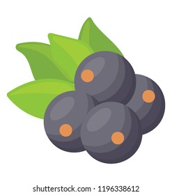 
Blueberry bunch with fresh rich taste 
