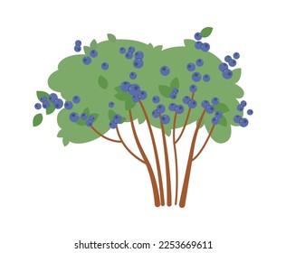 Blueberry bush with tasty fruits flat icon. Vector illustration