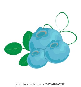A blueberry bush. Vector illustration on a white background