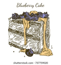 Blueberry cake with fresh berry. Engraving style. Vector illustration.