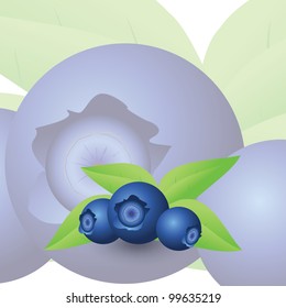 Blueberry card with sweet background.