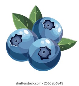 Blueberry in cartoon style on a white background. Vector illustration. Blueberry Icon fruits vector illustration. Berry design. Fresh, ripe closeup berries with green leaves. Blueberry composition. 