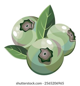 Blueberry in cartoon style on a white background. Vector illustration. Blueberry Icon fruits vector illustration. Berry design. Fresh, unripe closeup berries with green leaves. Blueberry composition. 