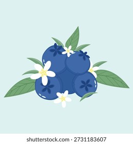 Blueberry cartoon vector isolated on white background.