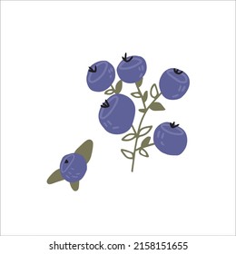 blueberry clip art icon, vector eps 10 berry, Scandinavian blueberry hand drawn clip art, berry sticker, children wear print
