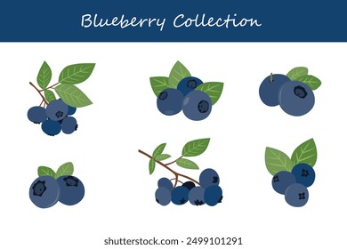 blueberry collection. blueberry in different poses. Vector illustration.