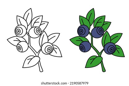 Libro de colorantes de arándanos. Ilustración vectorial de arándanos.