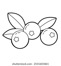 Blueberry. Contour drawing. Black white outline illustration, isolated on white background. Design elements or page of children's coloring book