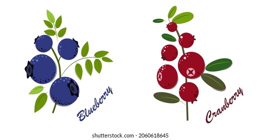 Blueberry and Cranberry. Berries with Green Leaves. Blueberry and Cranberry for jam and dessert. Flat style Vector Illustration.