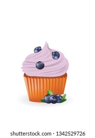 Blueberry cupcake. vector illustration