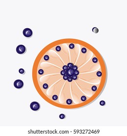 blueberry cupcake -vector illustration