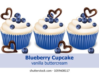 Blueberry cupcakes Vector realistic. 3d detailed dessert illustrations