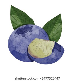 Blaubeeren-Design-Elemente. Aquarell-Stil Vektorillustration.