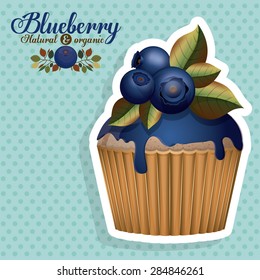 Blueberry design over pointed background, vector illustration