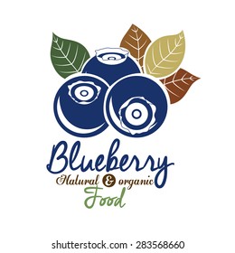Blueberry design over white background, vector illustration