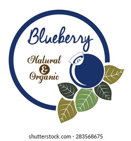 Blueberry design over white background, vector illustration