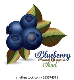 Blueberry design over white background, vector illustration