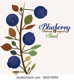 Blueberry design over white background, vector illustration