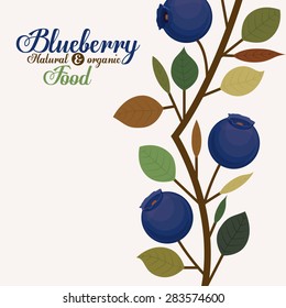 Blueberry design over white background, vector illustration