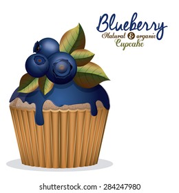 Blueberry design over white background, vector illustration