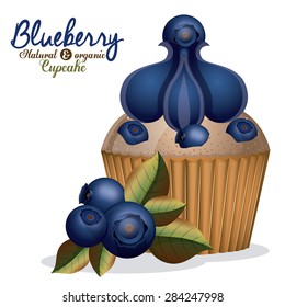 Blueberry design over white background, vector illustration