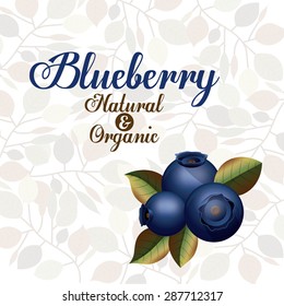 Blueberry design over white background, vector illustration