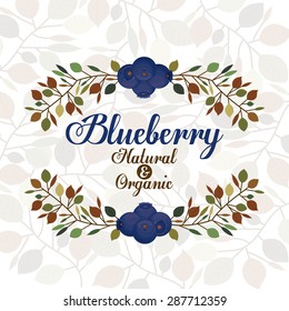 Blueberry design over white background, vector illustration