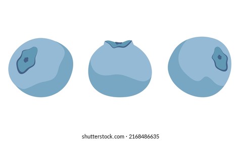 Blueberry in different angles. Berry in cartoon style.