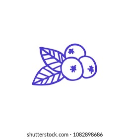 Blueberry Doodle Icon